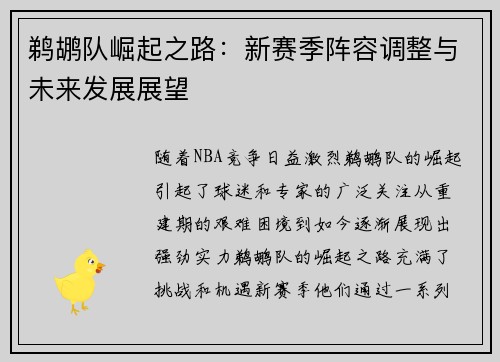 鹈鹕队崛起之路：新赛季阵容调整与未来发展展望